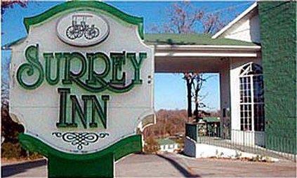 Surrey Inn Бренсон Зручності фото