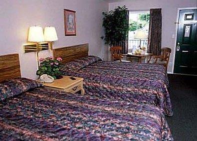 Surrey Inn Бренсон Номер фото